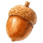 004