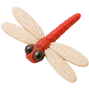 036