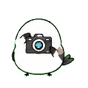 036