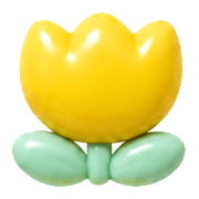 005