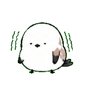 020