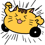 003