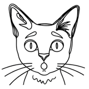 003