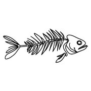 010