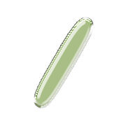 086