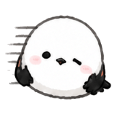 019