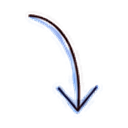 029