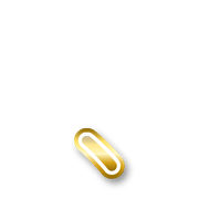 256