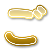 060
