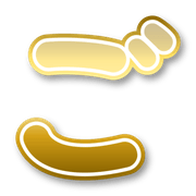 060