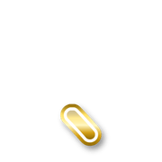 256