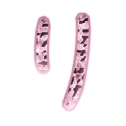 120