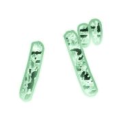151
