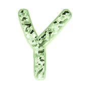 186
