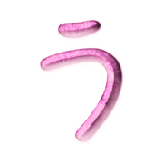 003