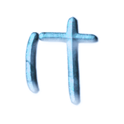009