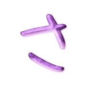 011