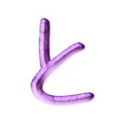 020