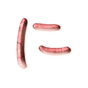 022