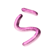 039