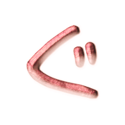 058