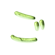 060
