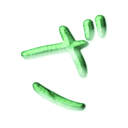 061