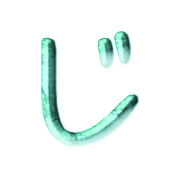 062