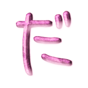 066