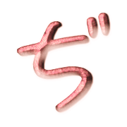 067