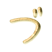 068