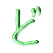 070