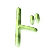 150