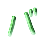 151