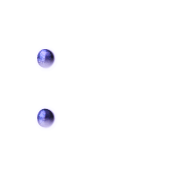 244
