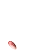 256