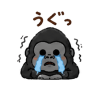 023