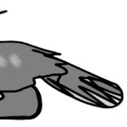 029