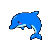017