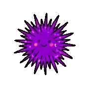 029