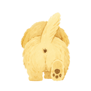 004