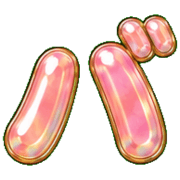 151