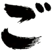 060