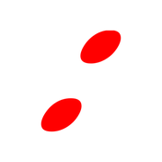 244