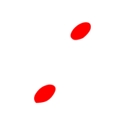 244