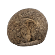 036