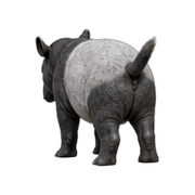 040