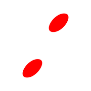 244