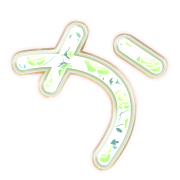 006