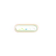 251